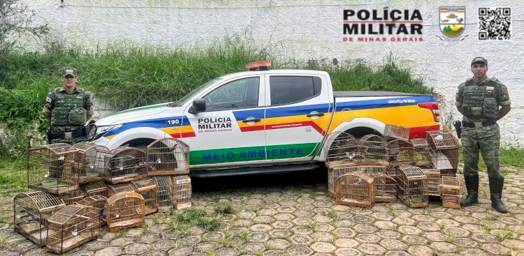 Polícia apreende 30 pássaros silvestres mantidos em cativeiro em Viçosa