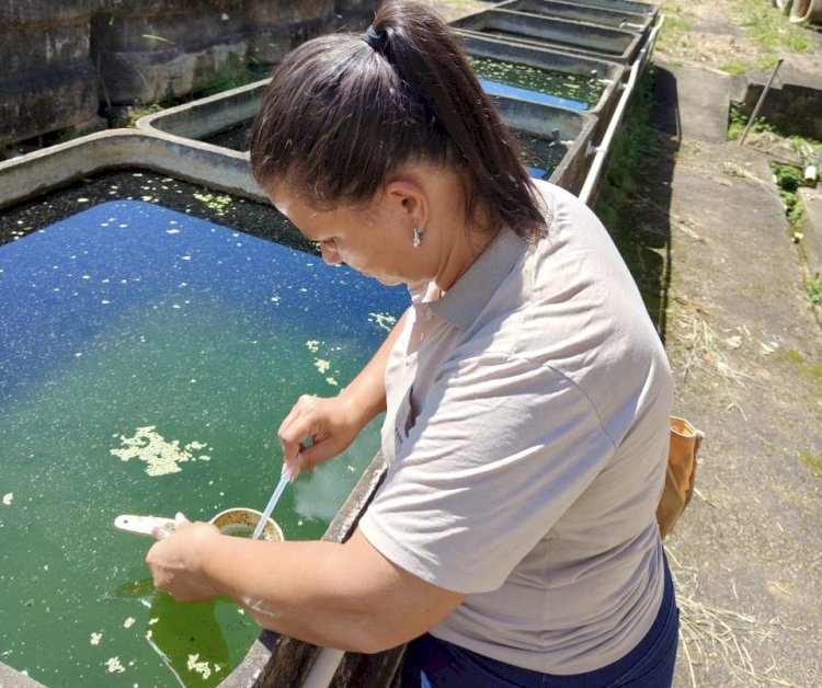 Prefeitura de Viçosa intensifica ações de combate ao Aedes aegypti