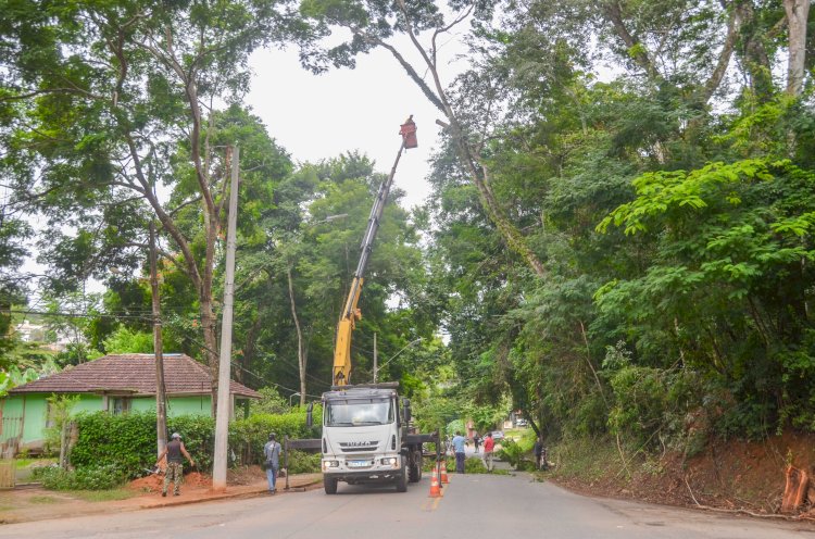 Trevo do Acamari recebe ação preventiva de corte de árvores