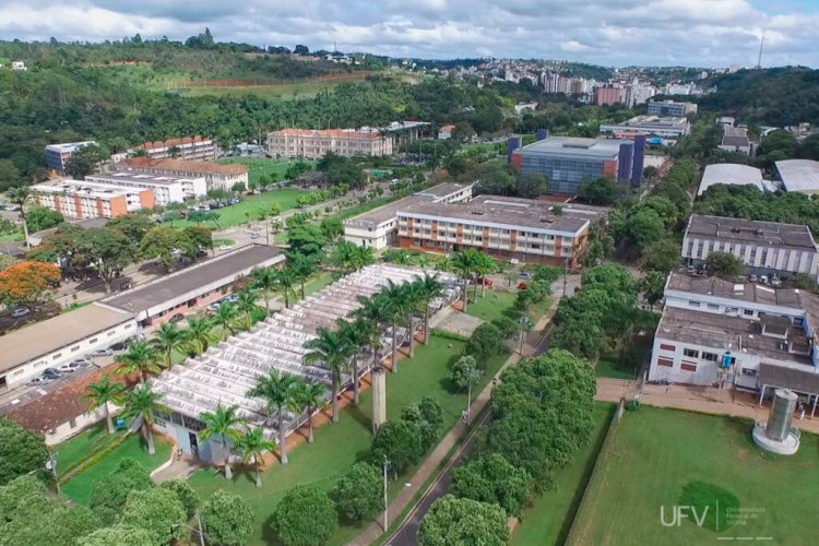 Indicador desenvolvido na UFV é utilizado para calcular Índice Brasileiro de Conectividade
