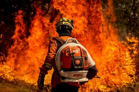Bombeiros abre seletiva para Brigadista Florestal no Parque da Serra do Brigadeiro