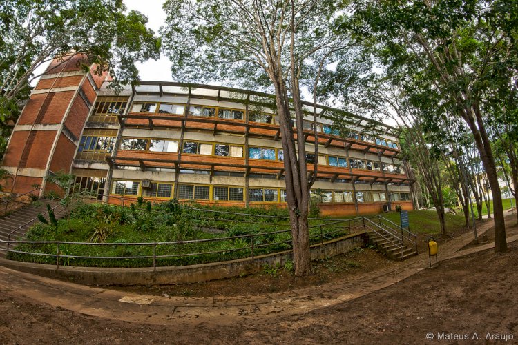 Projeto da UFV promove debate sobre aumento dos preços no Brasil