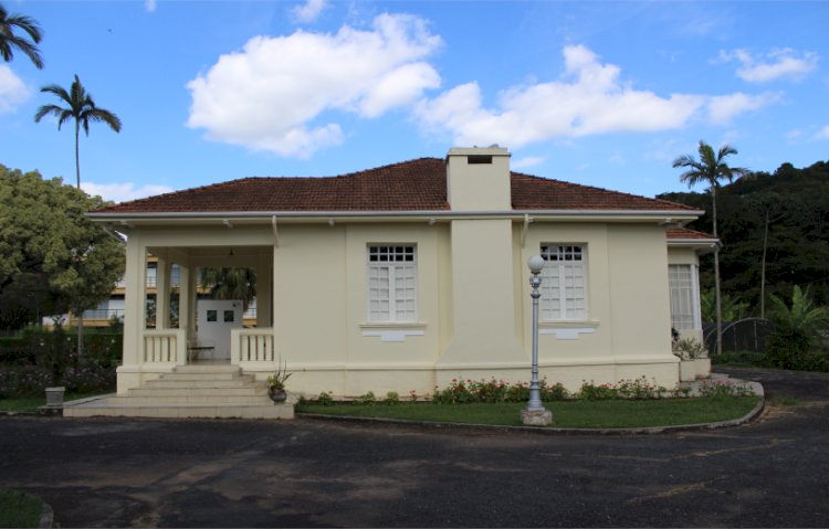 Pinacoteca da UFV promove atividades para crianças neste domingo