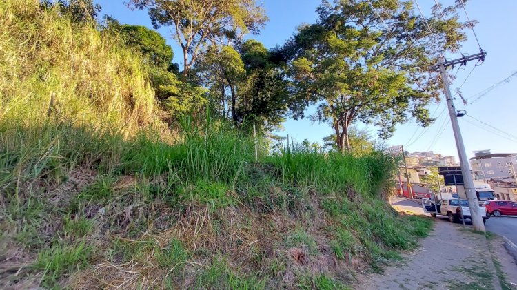 PMV notifica proprietários para limpeza de lotes abandonados