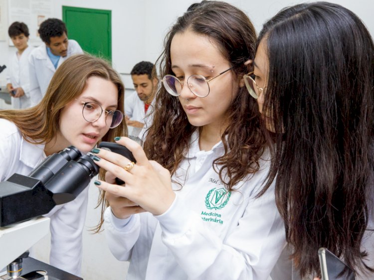 Medicina Veterinária da UFV recebe reconhecimento internacional