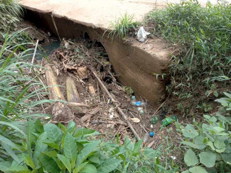 PMV realiza limpeza preventiva em ribeirões e córregos na cidade