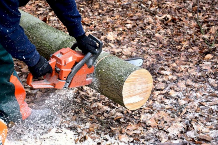 Senar oferece 12 cursos gratuitos para Viçosa e região