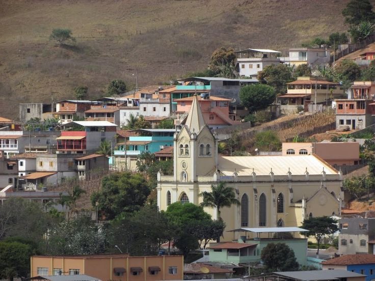 Porto Firme promove castração gratuita de cães e gatos