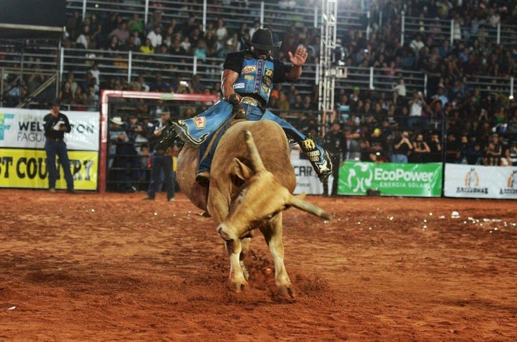 Regularização de Rodeios é tema de audiência na câmara nesta quinta