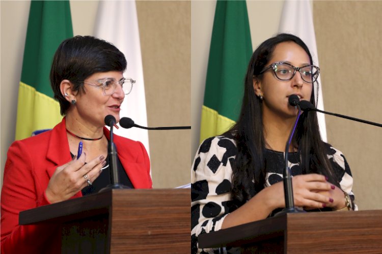 Vereadores aprovam programa de combate ao abuso infantil em Viçosa