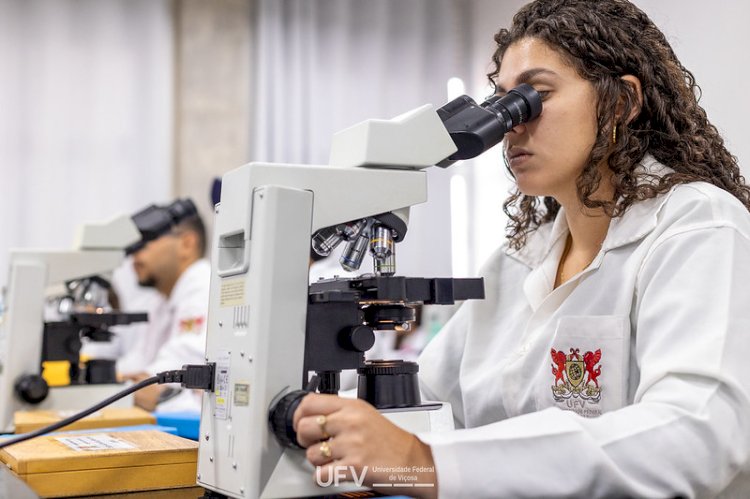 Maioria dos cursos de pós-graduação da UFV obtém conceitos 5, 6 e 7 na Capes