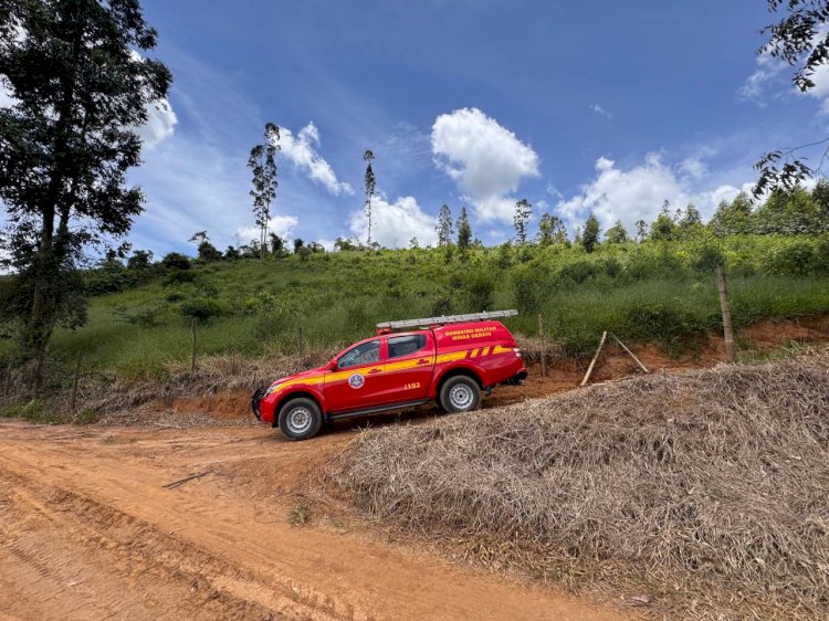 Idoso desaparecido em Coimbra é encontrado sem vida em área de mata