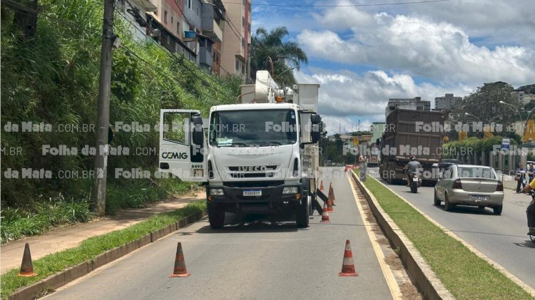 Corte de árvore em horário de pico é autorizado pela Prefeitura