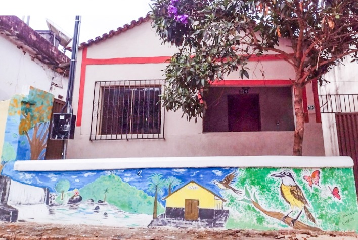 Palmeira Pequenina desenvolve projetos pela Aldir Blanc