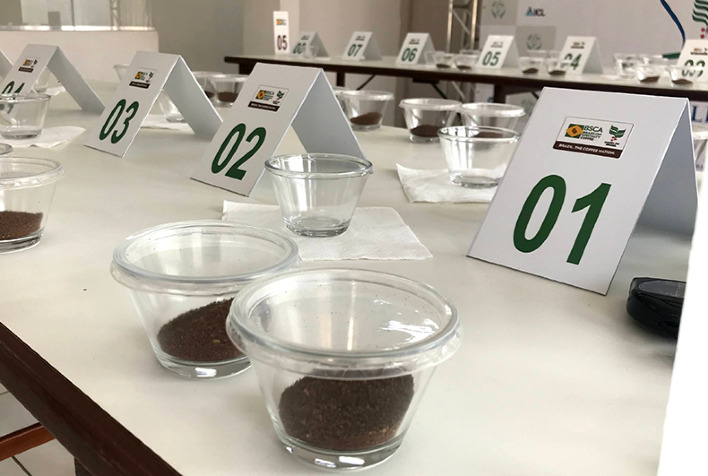 Cafés da região de Araponga premiados em concurso internacional