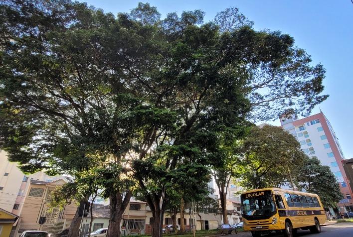 Confira como fica o tempo em Viçosa e região nesta quinta-feira (13)