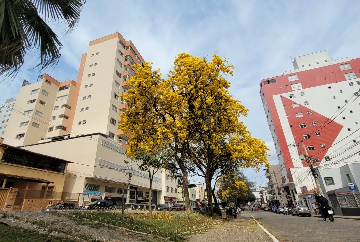 Confira como fica o tempo em Viçosa e região nesta quarta-feira (2)