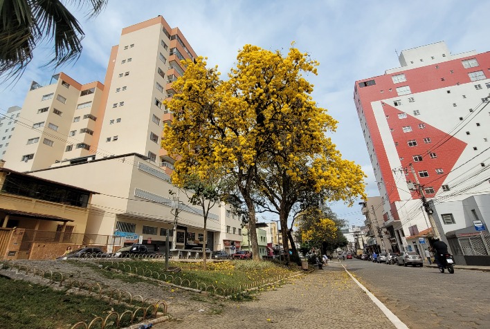 Confira como fica o tempo em Viçosa e região nesta sexta-feira (29)