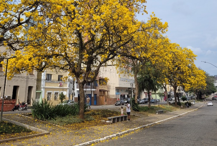 Confira como fica o tempo em Viçosa e região nesta segunda-feira (25)