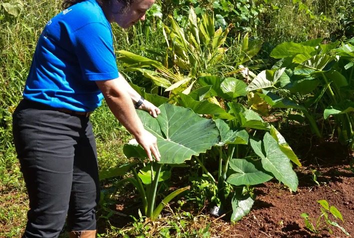 Ervália promove 7º Encontro da Mulher Rural