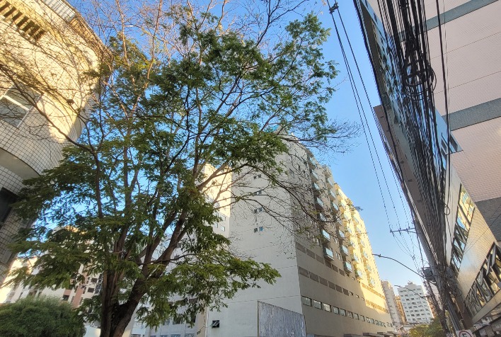 Confira como fica o tempo em Viçosa e região neste fim de semana