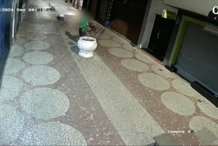 Câmera registra furto de planta no Calçadinho